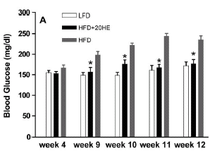 ecdysterone weight loss